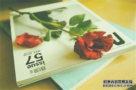 测试你在爱情中能有几分智商-第2张-星座-玉仓库