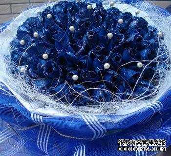 测试2013年情人节你适合送什么花