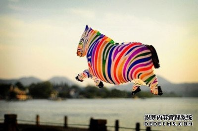 对于男友你懂得放手吗