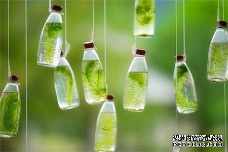 一道题测出你对爱情的态度-第6张-星座-玉仓库