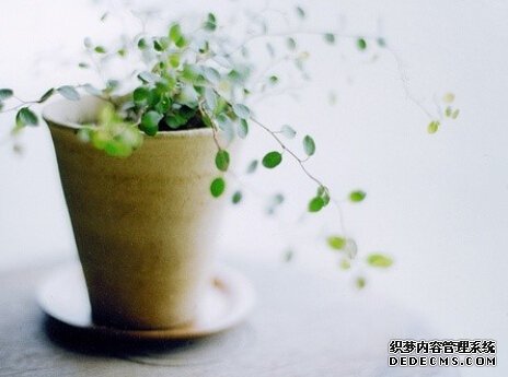 你需要啥压力安慰剂