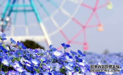 你新学期最想要的是什么