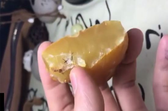 蜜蜡是什么-第2张-蜜蜡-玉仓库