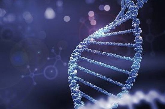 太赫兹是什么材质-第3张-玉石知识-玉仓库