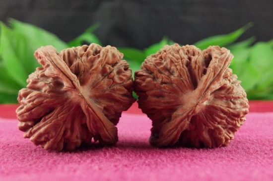 新手盘核桃盘什么品种-第4张-核桃文玩-玉仓库