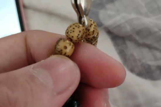 星月菩提颗数的寓意-第2张-菩提文玩-玉仓库