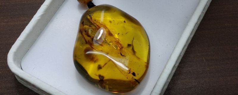 琥珀是怎么形成的?