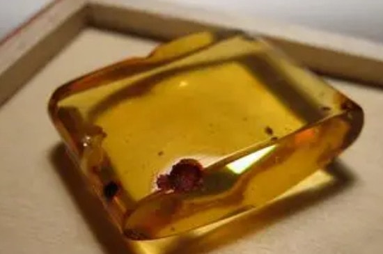 十大***品琥珀排名-第4张-琥珀-玉仓库