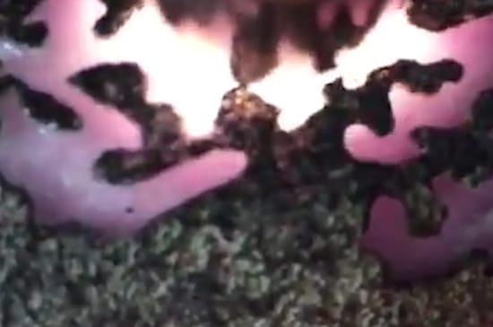 翡翠手镯12种颜色-第7张-翡翠-玉仓库