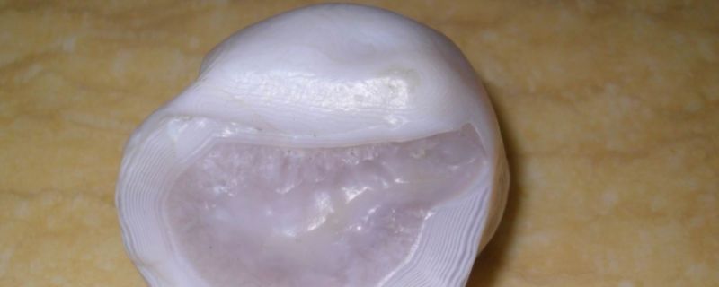 荔枝冻玛瑙的功效与作用