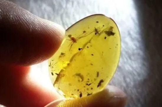 琥珀戴久了会有灵性吗，琥珀是真有灵性的-第4张-蜜蜡-玉仓库