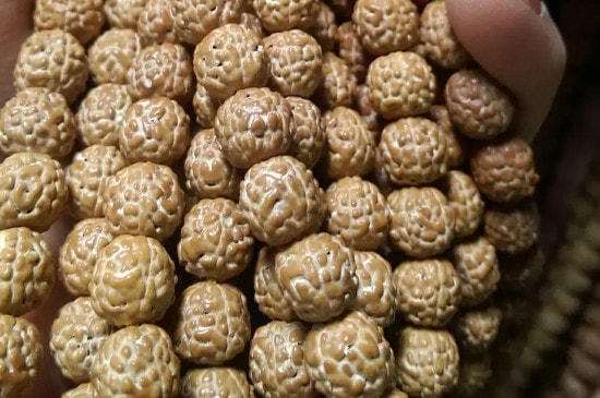 带菩提子的禁忌-第2张-菩提文玩-玉仓库