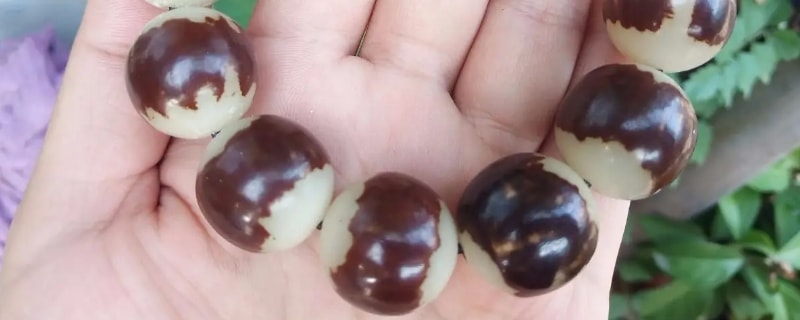 菩提手串多少颗为一串最好