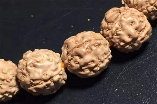 金刚菩提铁籽是什么-第2张-金刚菩提-玉仓库