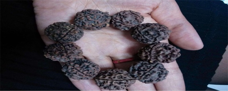 金刚菩提冬天怎么保养