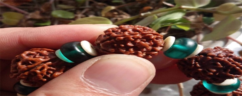 小金刚菩提瓣数寓意