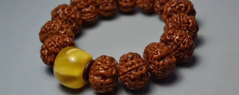 金刚菩提裂缝正常吗