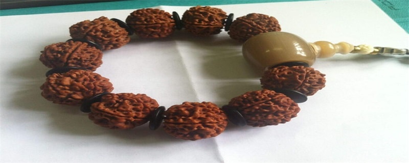 金刚菩提颜色种类