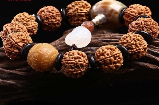 金刚菩提安娜籽是什么-第3张-菩提文玩-玉仓库