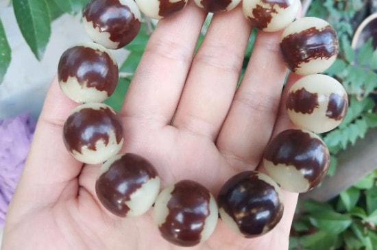 菩提手串盘好了是什么颜色-第4张-菩提文玩-玉仓库