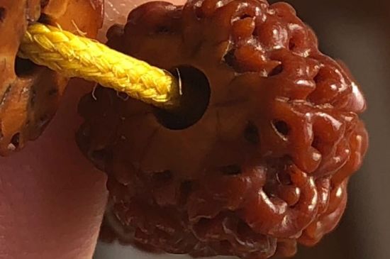 金刚菩提的种类-第2张-菩提文玩-玉仓库