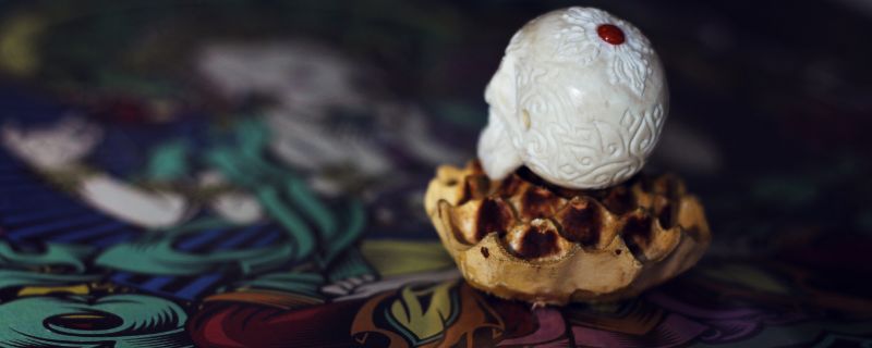 文玩尸陀林是什么东西