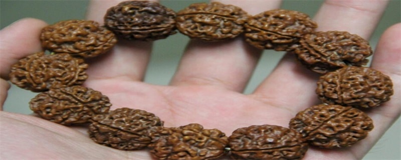 金刚菩提能上橄榄油吗