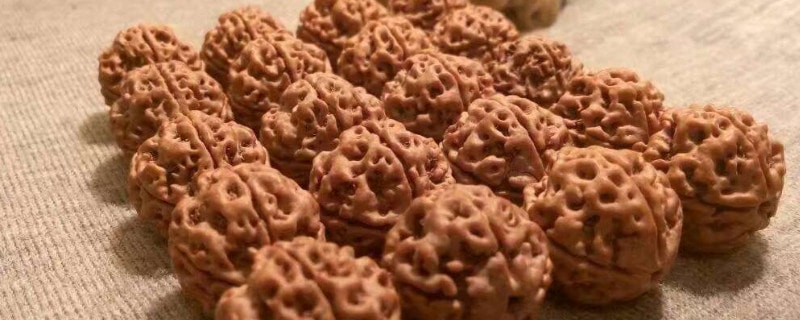 金刚菩提的作用