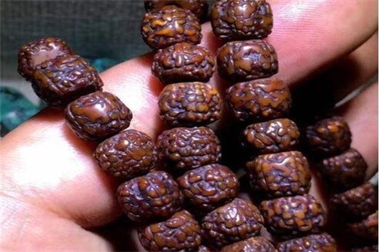 金刚菩提快速红透方法-第3张-金刚菩提-玉仓库