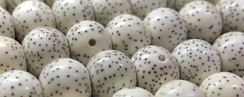 星月菩提什么样的品相好