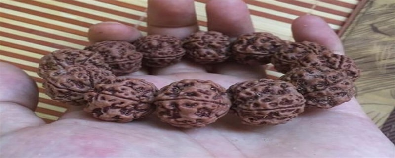 青皮金刚菩提怎么处理