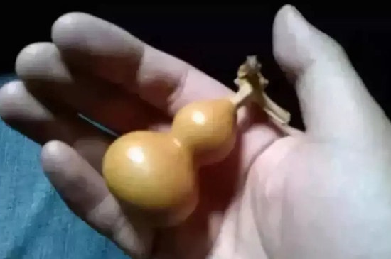 葫芦摘下来应该怎么处理-第3张-葫芦-玉仓库