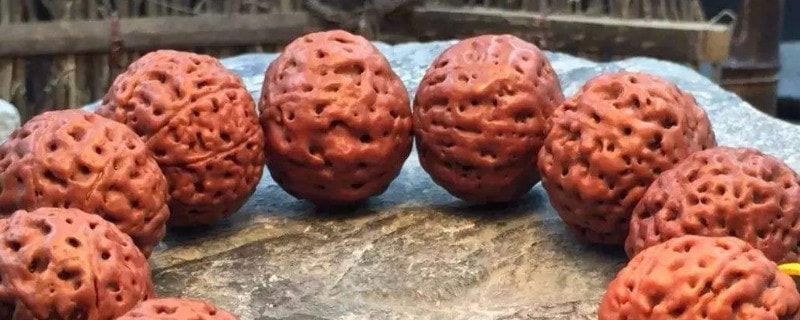 金刚菩提子辨别真假