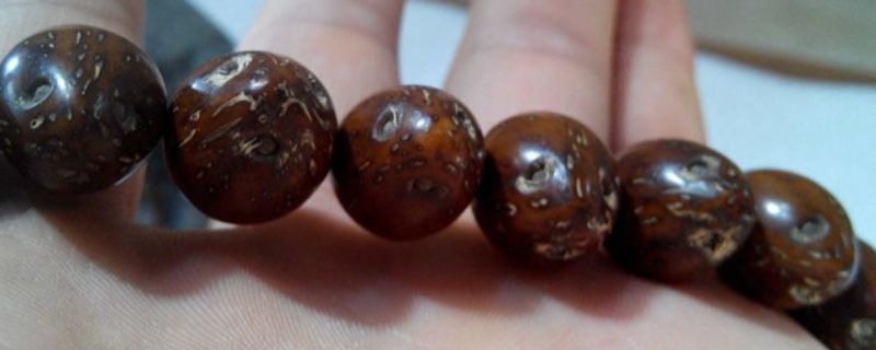 紫金鼠菩提子怎么清理