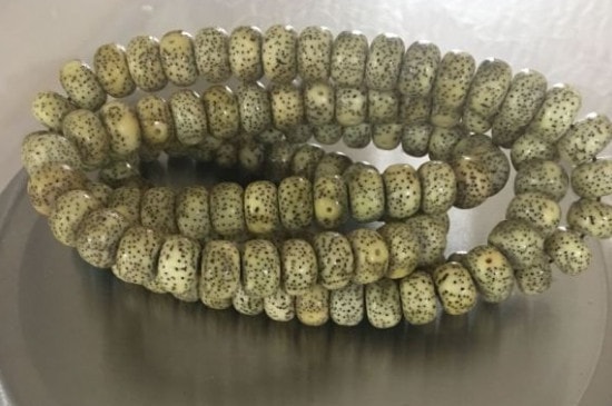 星月菩提怎么玩有光泽-第3张-菩提文玩-玉仓库