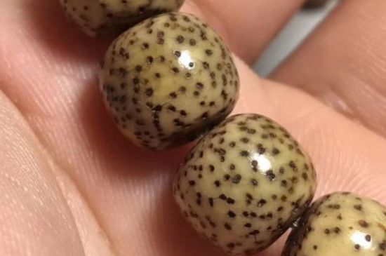 星月菩提114颗什么意思-第2张-菩提文玩-玉仓库