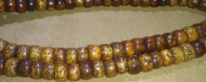 星月菩提上色用什么油
