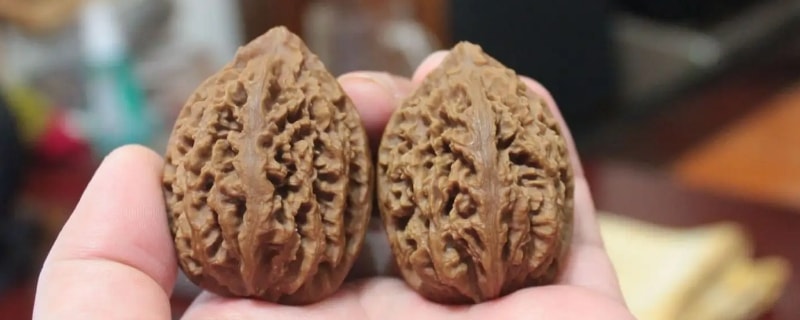 纯野生麻核桃特点