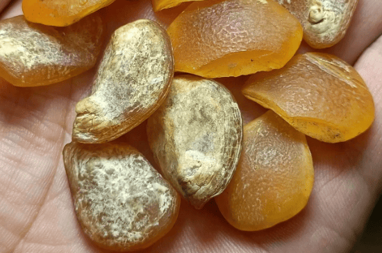 鱼惊石怎么处理才不裂-第2张-珠宝石-玉仓库
