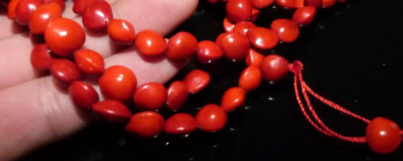 女人佩戴血菩提的作用