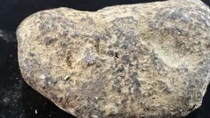 龙涎香怎么辨别真假