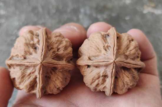 核桃盘多久能包浆-第3张-核桃文玩-玉仓库
