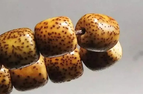 星月菩提盘出来的效果图-第4张-菩提文玩-玉仓库