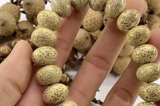 星月菩提绿幽灵怎么盘-第3张-菩提文玩-玉仓库