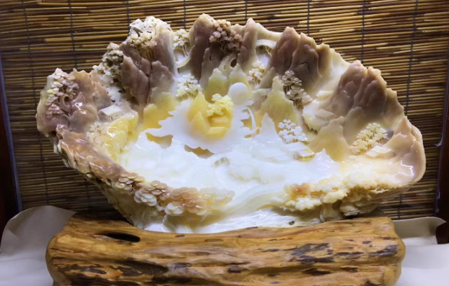 砗磲
