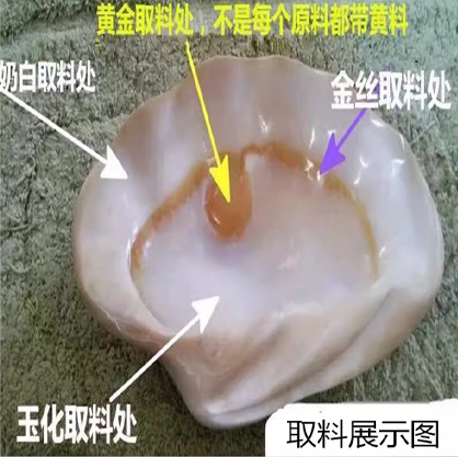 金丝砗磲