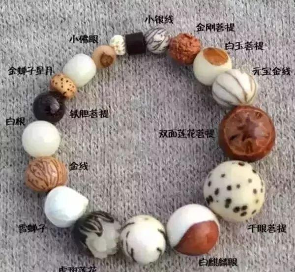 “十八籽”和“十八子”