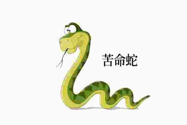 什么蛇是苦命蛇_几月的蛇最苦命