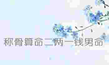 称骨算命二两一钱男命_称骨算命二两一钱男命怎么样