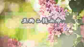 五两二钱女命详解一生_五两二钱女命一生总结